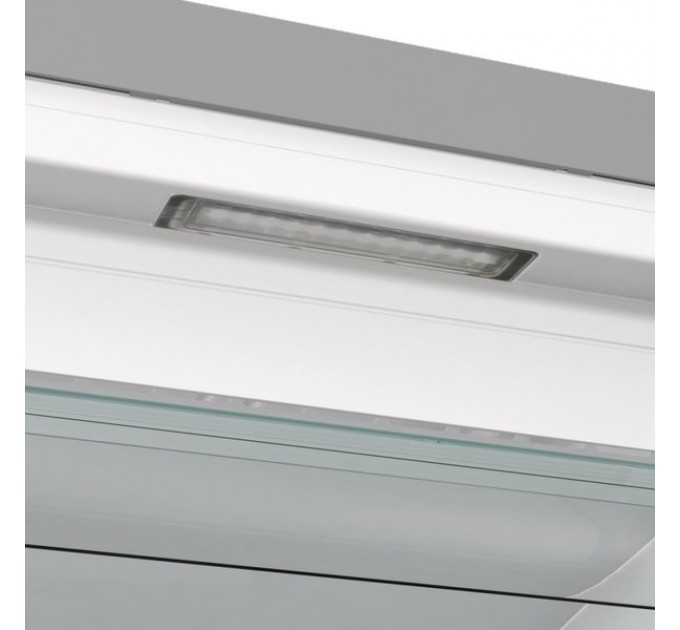 Морозильная камера Gorenje, 185.5x59.5х66.3, 280л, 1дв., A++, NF, диспл внешн., инвертор, матовый нерж