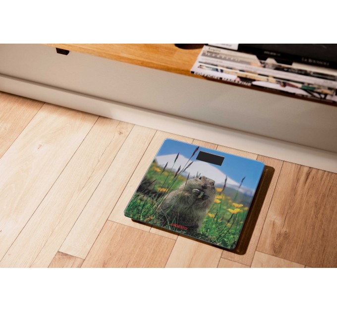 Весы ARDESTO напольные Marmot, 150кг, AAAx2 в компл, стекло, многоцветные