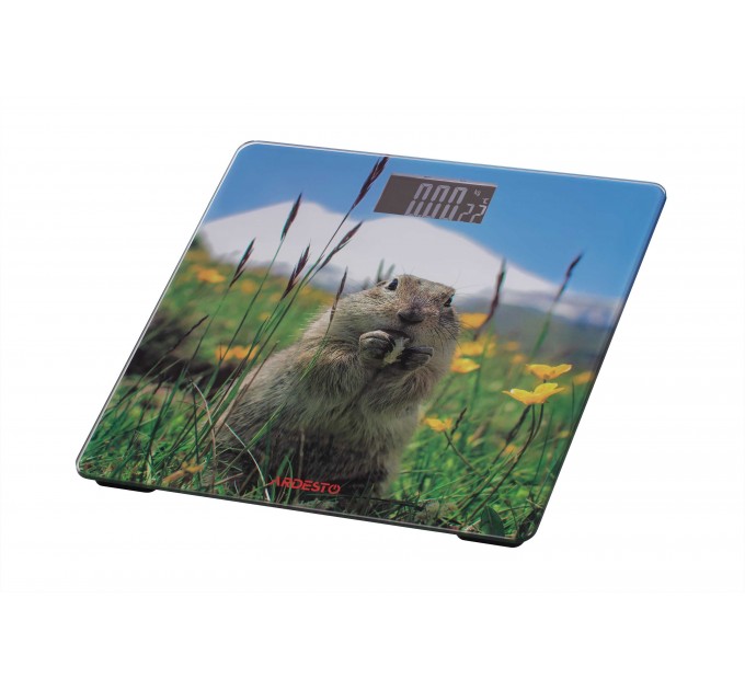 Весы ARDESTO напольные Marmot, 150кг, AAAx2 в компл, стекло, многоцветные