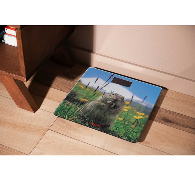 Весы ARDESTO напольные Marmot, 150кг, AAAx2 в компл, стекло, многоцветные