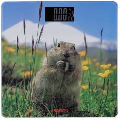 Весы ARDESTO напольные Marmot, 150кг, AAAx2 в компл, стекло, многоцветные