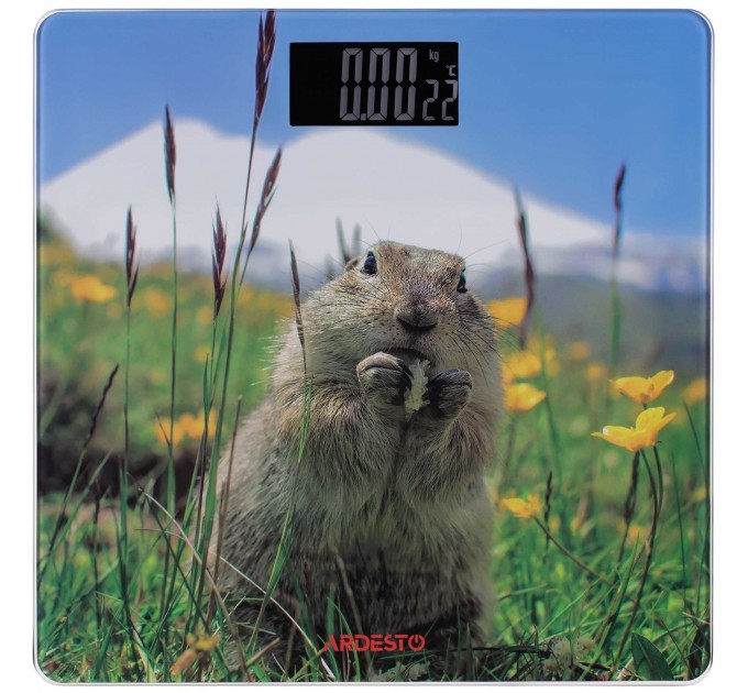 Весы ARDESTO напольные Marmot, 150кг, AAAx2 в компл, стекло, многоцветные