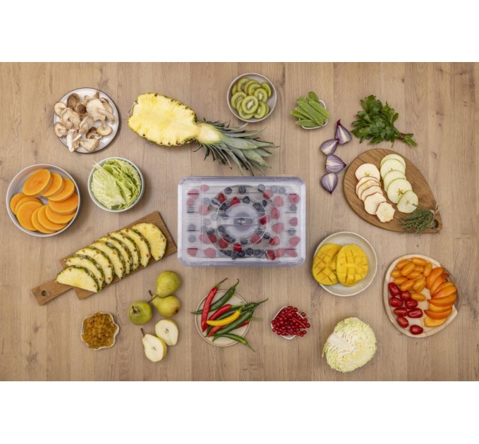 Сушка для продуктов Gorenje 240Вт, поддонов - 5x2.8см, диаметр - 29см, макс - 75°С, электр.упр., белый