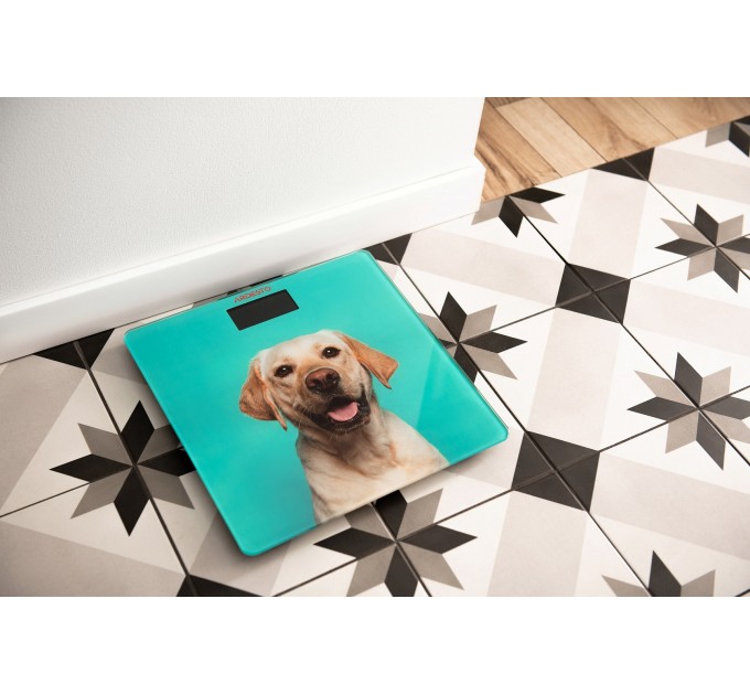 Весы ARDESTO напольные Dog, 150кг, AAAx2 в компл, стекло, многоцветные