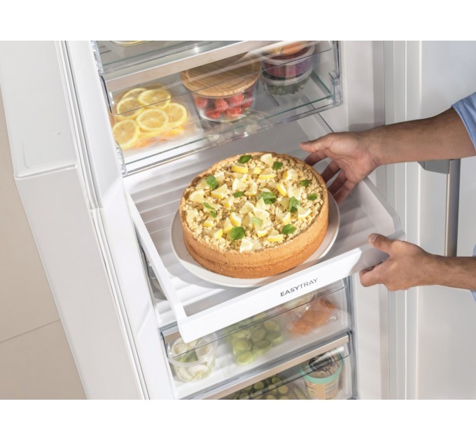 Морозильная камера Gorenje, 185.5x59.5х66.3, 280л, 1дв., A++, NF, диспл внешн., инверто, белый