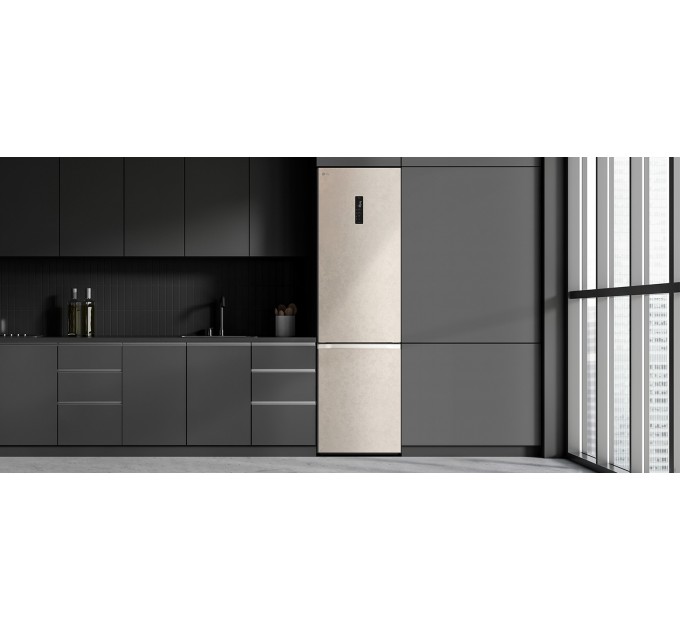 Холодильник LG з нижн. мороз., 203x60х68, холод.відд.-277л, мороз.відд.-110л, 2дв., E, NF, інв., диспл зовн., Fresh Сonverter, Metal Fresh, бежевий