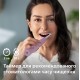 Щетка зубная электр. Philips Sonicare 4100 Series, 31т. колеб/мин, насадок-1, сиреневый