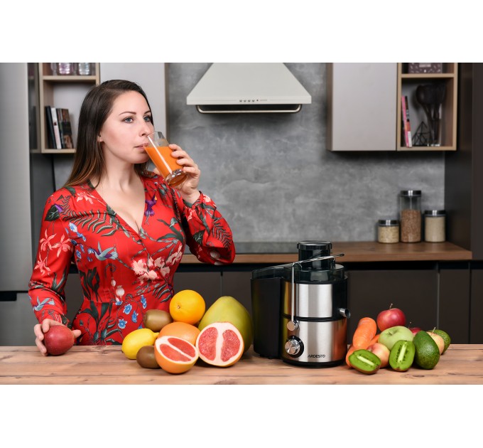 Соковыжималка ARDESTO центробежная 1000Вт, чаша-0.5л, жмых-1.5л, пластик/металл, серебристо-черный